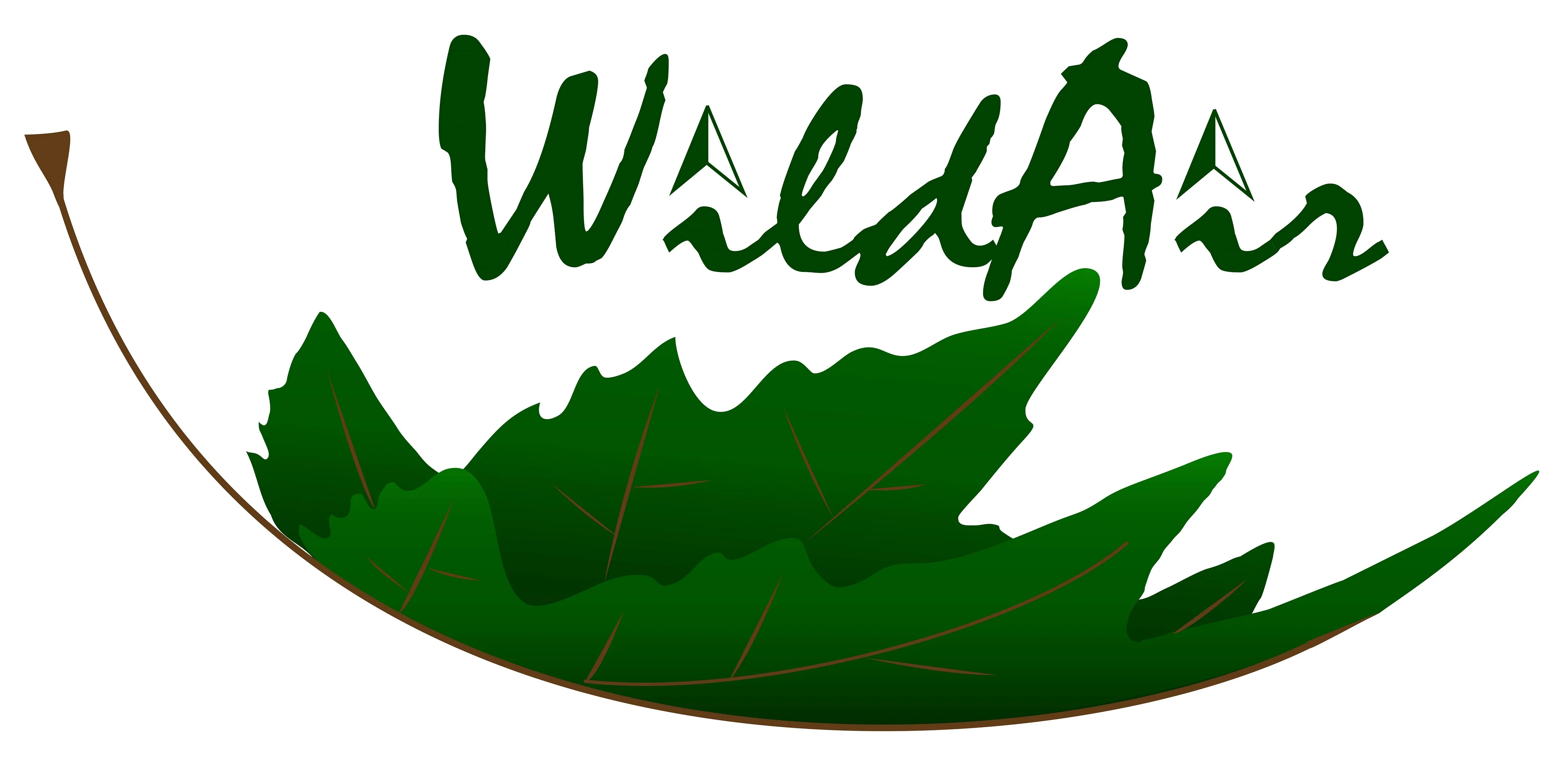 WildAir